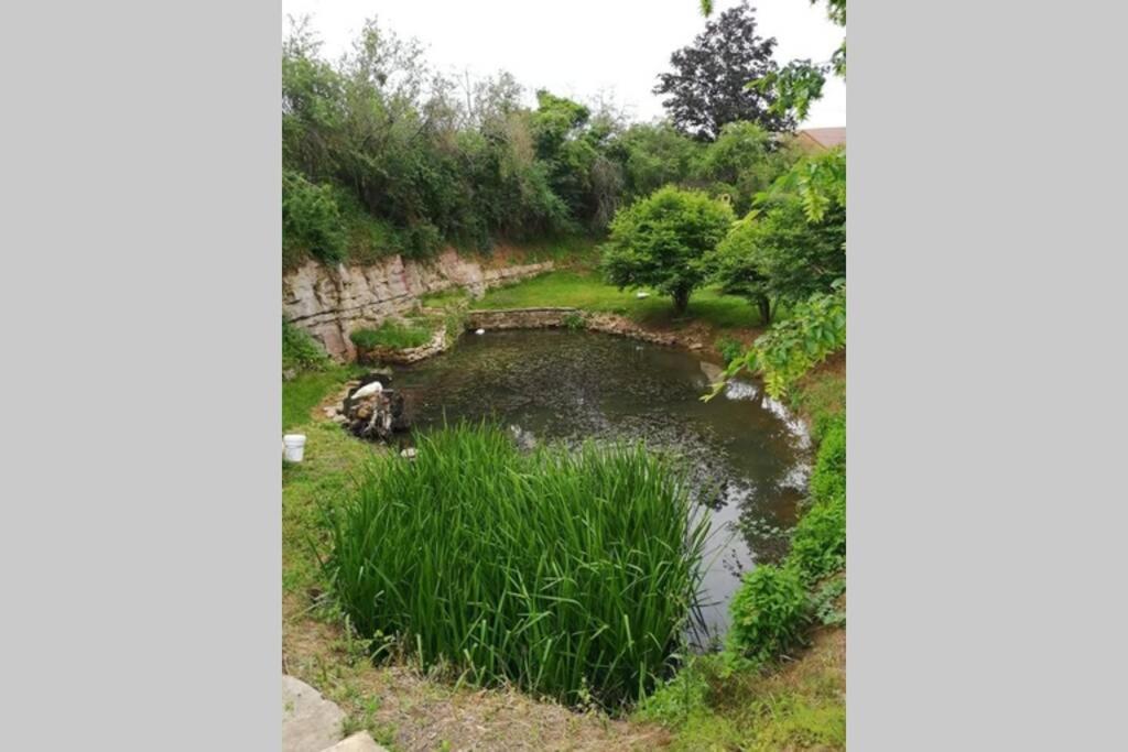 Studio Au Bord De L'Etang Laives Eksteriør bilde