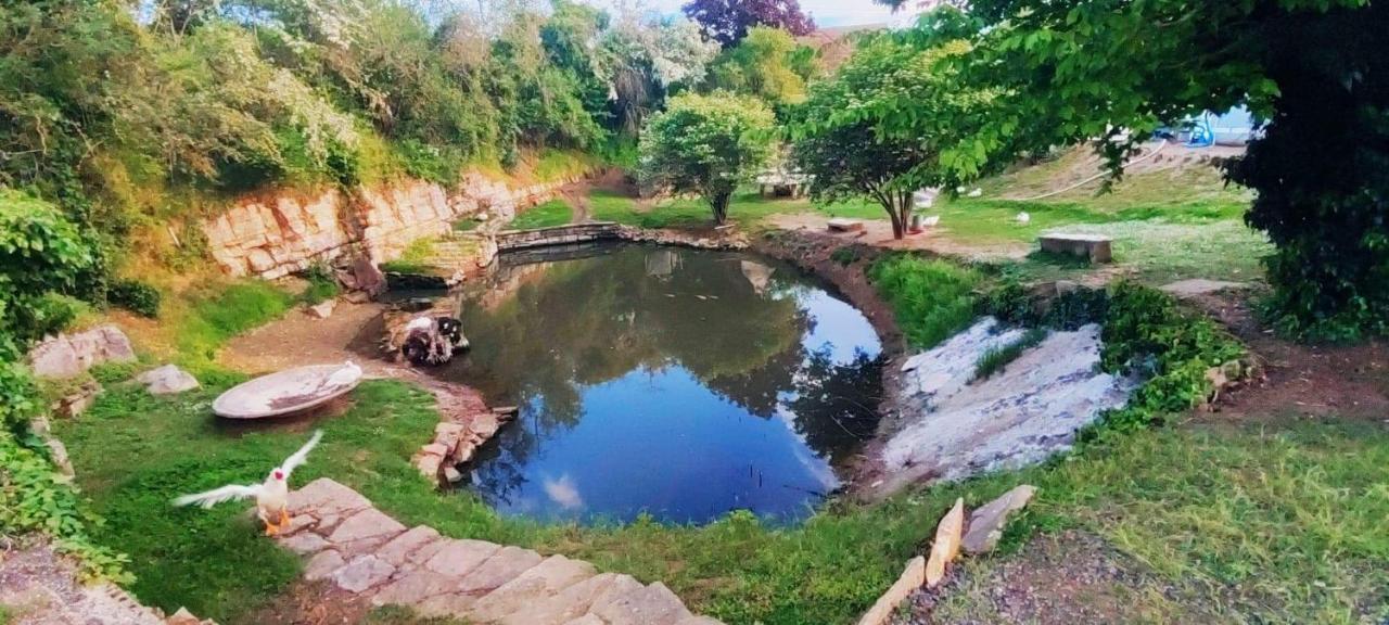 Studio Au Bord De L'Etang Laives Eksteriør bilde