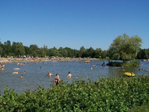 Studio Au Bord De L'Etang Laives Eksteriør bilde